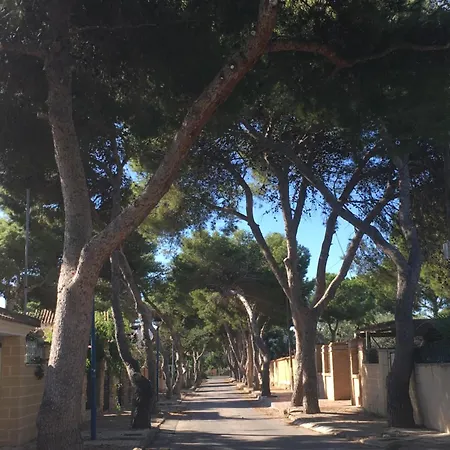 Alicante Holiday home Torrevieja