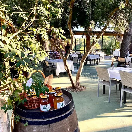 Holiday home Alicante