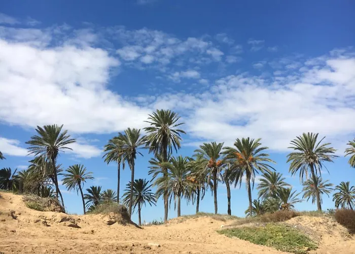 Alicante Dom wakacyjny Torrevieja
