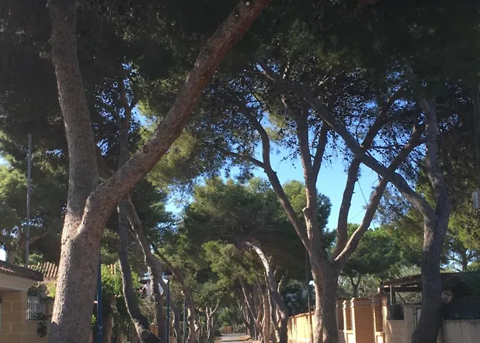 Alicante Dom wakacyjny Torrevieja