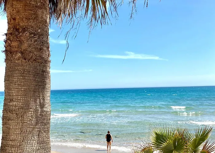 Alicante